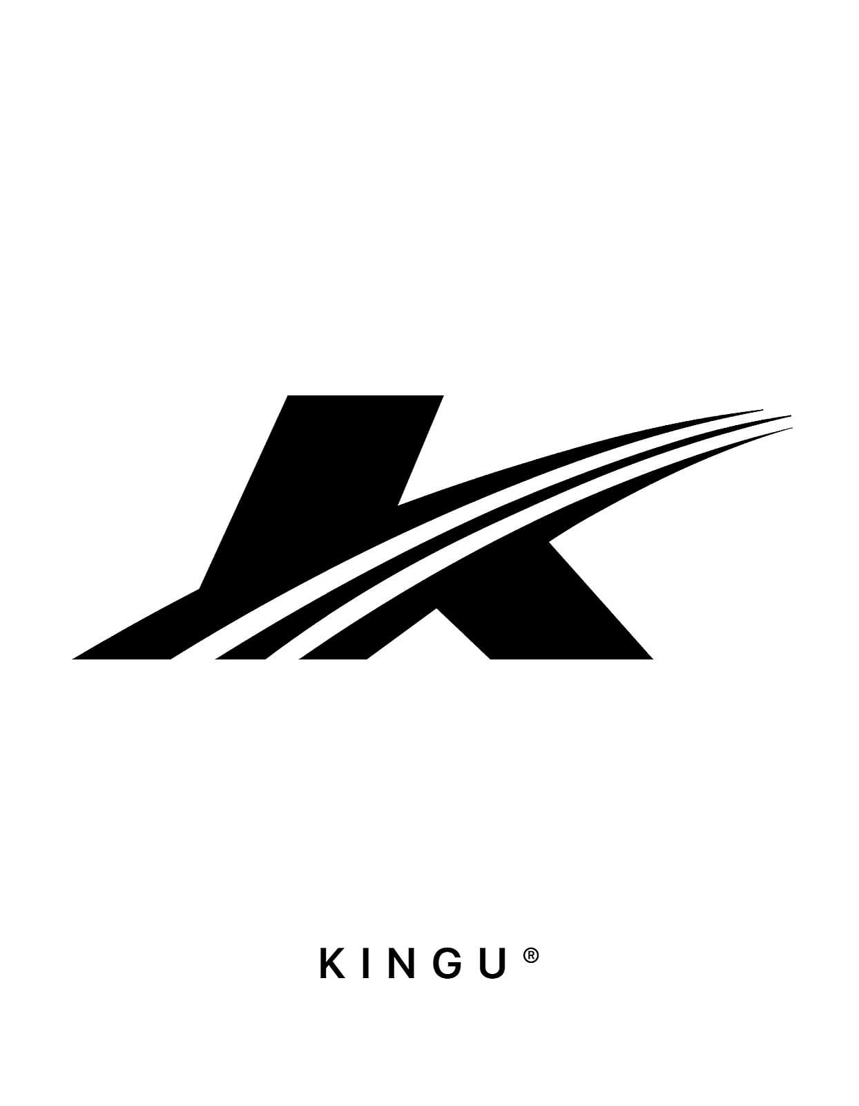 Kingu 2